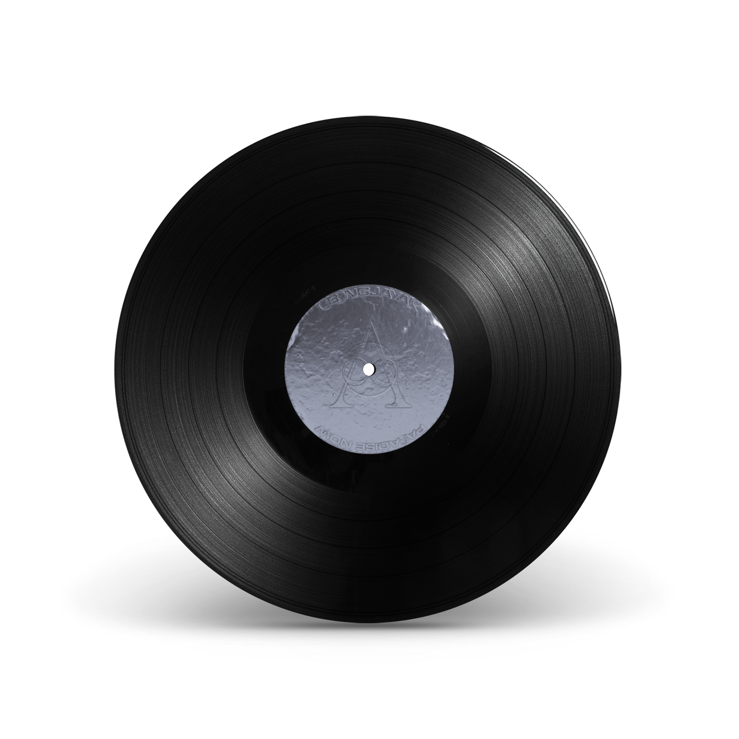 Paradise Now LP